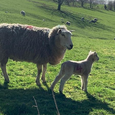 Apartamento Counting Sheep Great Longstone Exterior foto