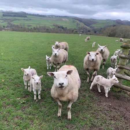 Apartamento Counting Sheep Great Longstone Exterior foto