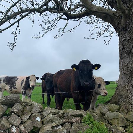 Apartamento Counting Sheep Great Longstone Exterior foto