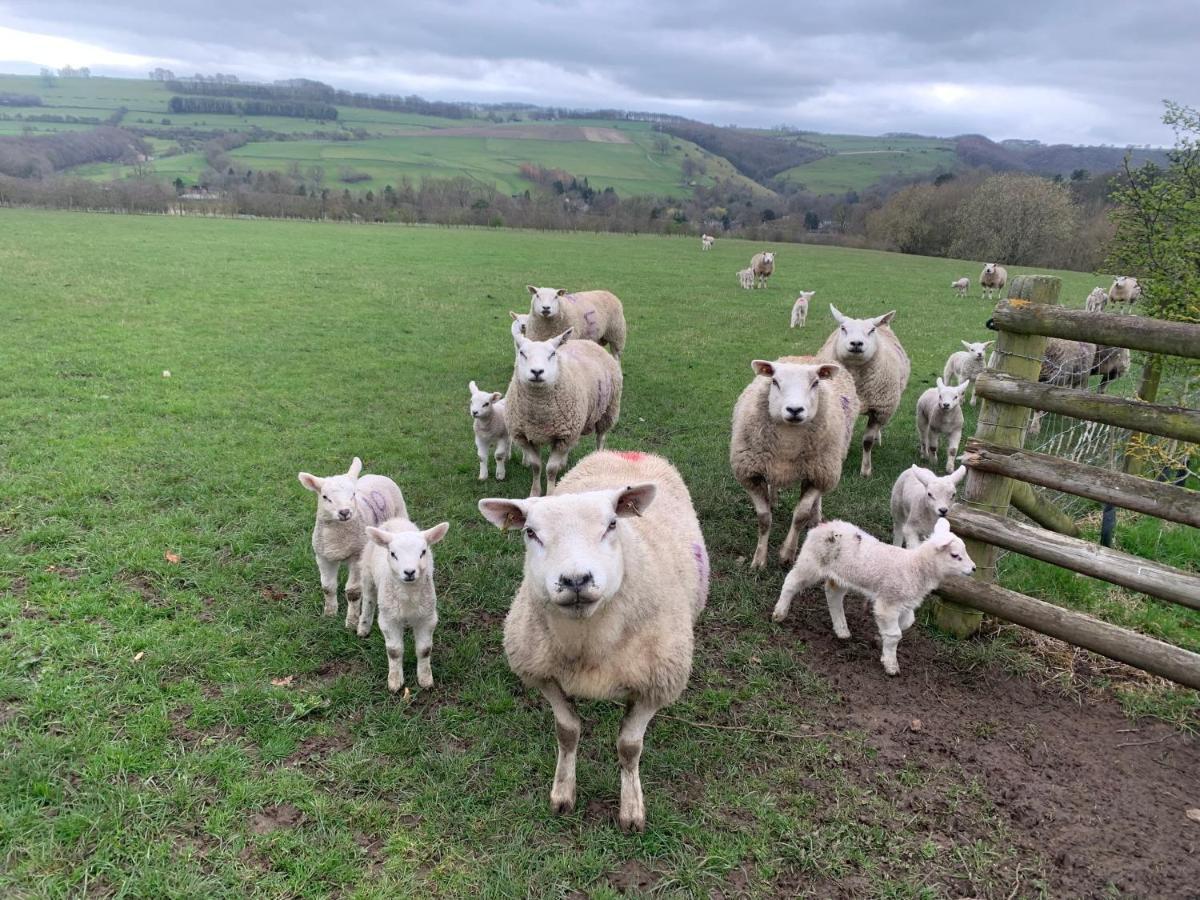 Apartamento Counting Sheep Great Longstone Exterior foto